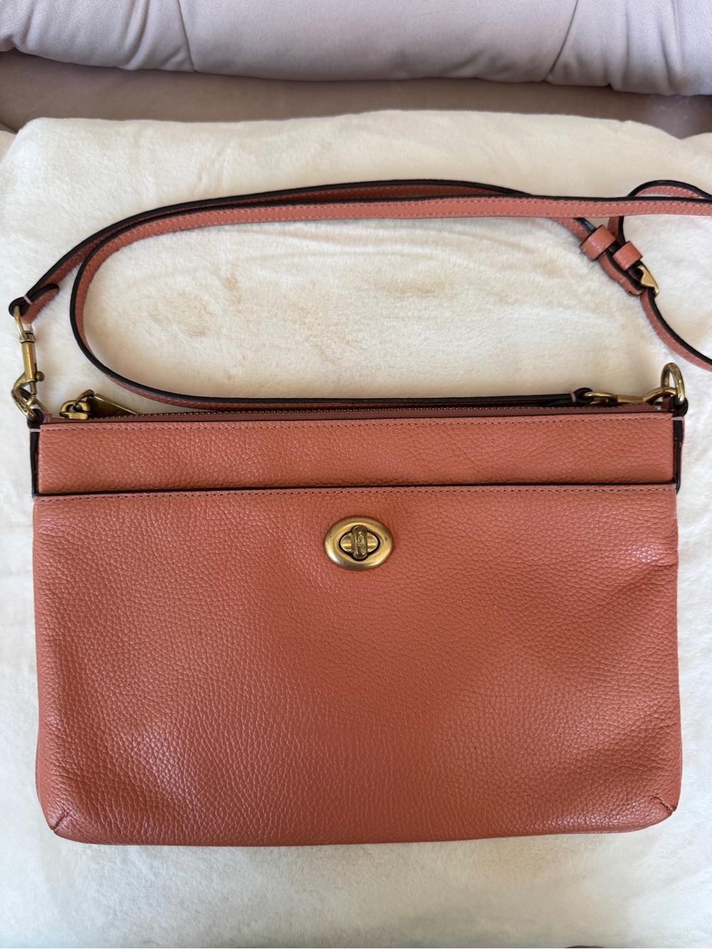 Coach Polly Pebble Leather Crossbody Clutch